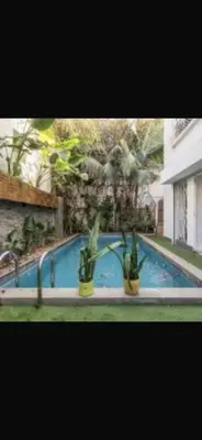 a swimming pool with two potted plants next to it at stay in villa casablanca in Casablanca