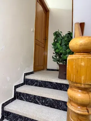 a set of stairs with a door and a potted plant at family apartment in rabat in Rabat