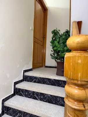 a set of stairs with a door and a potted plant at family apartment in rabat in Rabat