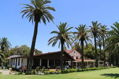 a group of palm trees in front of a building at Sophia Atlantis Pool Patio Garage in Mohammedia