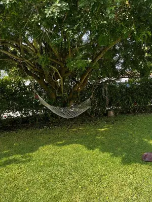 a hammock hanging from a tree in a yard at Entire villa with sea view - Bouznika Plage David in Bouznika