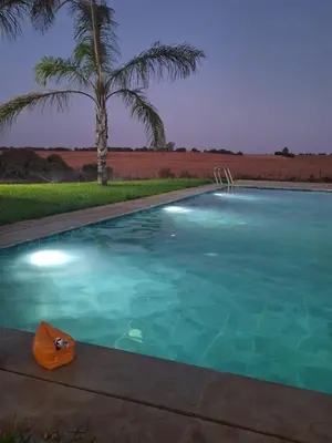 a swimming pool with a coconut tree in the background at Ferme villa in Skhirat