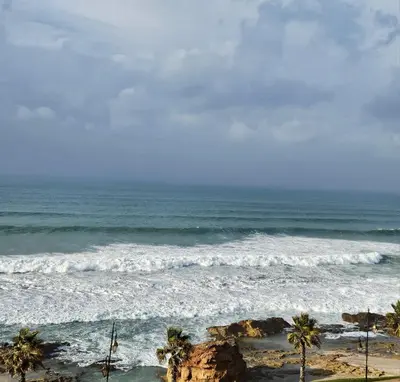 a beach with palm trees and the ocean at Sunset Ocean View in Rabat