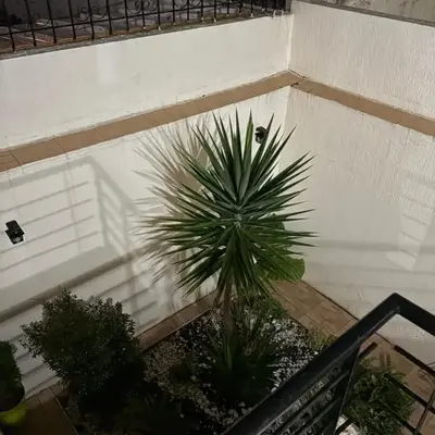 Harhoura stay à 10min du stade Prince Moulay Abdellah !