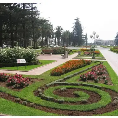 Joyau du park