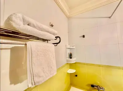 a bathroom with a shower and towels on a rack at Rome Avenue Luxury Residence, 3 Chambres in Casablanca