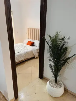 a bedroom with a mirror and a potted plant at 2 bedroom apartment with breakfast included in Casablanca