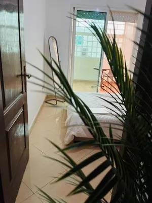 a plant sitting next to a door in a room at 2 bedroom apartment with breakfast included in Casablanca