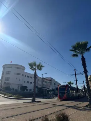 a red bus driving down a street with palm trees at Opposite Train Station & Tram Modern, Quiet & Meals Available in Casablanca