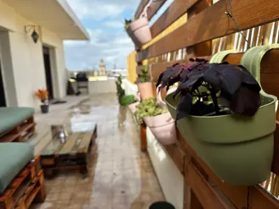 a row of potted plants on a balcony at Downtown Casablanca Living Terrace & Tram Access in Casablanca