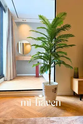 a palm tree in a pot in a room at hamy - 1br - Downtown Casablanca in Casablanca