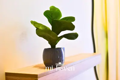 a plant in a black vase sitting on a shelf at Hamma - 1 BR - Premium condo in Casablanca