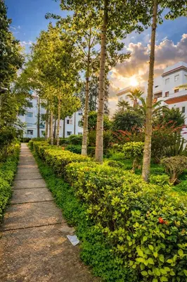 a path in a park with trees and bushes at Spacious 3 Bedroom Apartment in Rabat Near Moulay El Hassan Stadium Malls and Embassies in Rabat