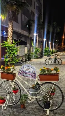 a bike parked on a street with flowers in pots at Beachfront View Appartement in Mohammedia
