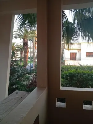 a view of a palm tree from a window at Oceania in Mohammedia