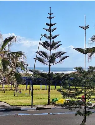 a large pine tree in a park next to the ocean at Casablanca !Tamaris! 2 bedrooms! Pool & Sea View! in Dar Sidi Slimane