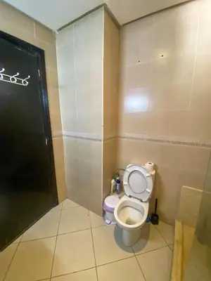 a small bathroom with a toilet with the lid up at Appartement Clémentine C in Les Camps