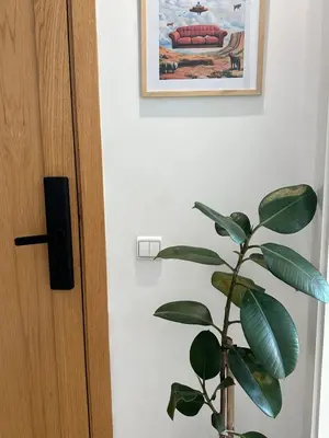 a plant next to a door with a picture on the wall at Chic central Stay in Agdal in Rabat