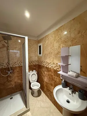 a bathroom with a toilet and a shower and a sink at Charming 1 bedroom apartment Ocean living room, Rabat in Rabat