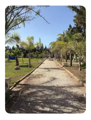 a long road with trees on both sides of it at La Hacienda De Morafia in Bouskoura