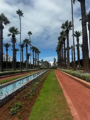a row of palm trees next to a swimming pool at Appartement centre casablanca in Casablanca