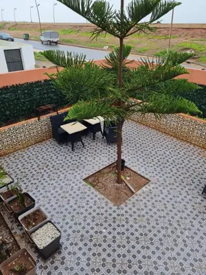 a small palm tree sitting on a tiled patio at Adnan in Temara
