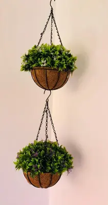 two hanging baskets with plants hanging on a wall at Un Havre de paix a Ricoflores in Mohammedia