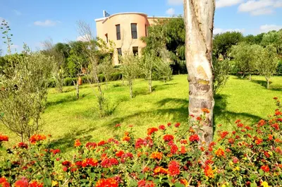 a field of flowers in front of a building at Riad Hamdani in Casablanca