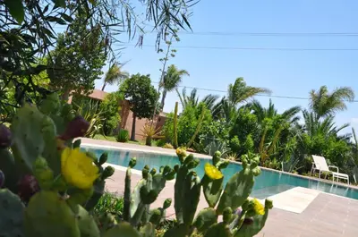 a view of a swimming pool with a cactus at Riad Hamdani in Casablanca