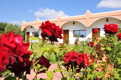 a house with red flowers in front of it at Riad Hamdani in Casablanca