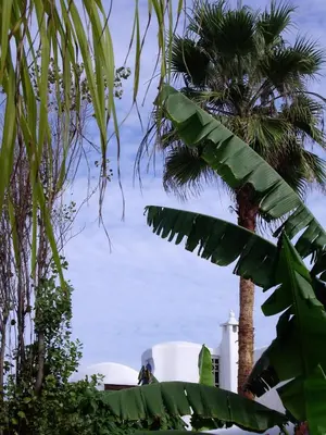 a palm tree and a white building with a palm tree at Riad Des Plages in Bouznika