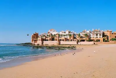 a group of birds walking on a sandy beach at Bouznika Charly's in Bouznika