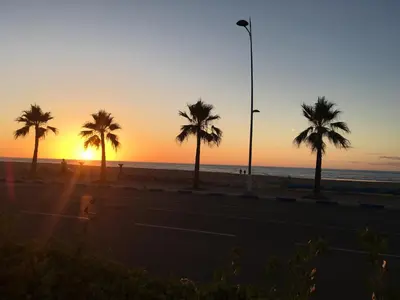 a sunset on the beach with palm trees and a street light at Garden Beach Sidi Rahal in Sidi Rahal