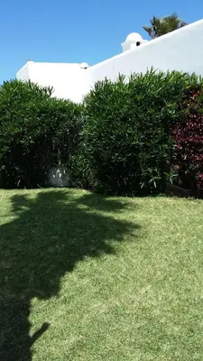a green yard with bushes and a building at Villa meublée face à la mer, Golf et Verdure in El Jadida