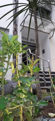 a plant in front of a building with a palm tree at Horizon Garden Home in Casablanca