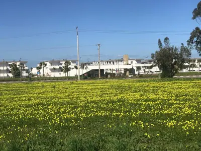 a field of yellow flowers with buildings in the background at Marbella Beach location pour famille 2 chambres in Mansouria