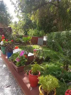 a garden with pots of flowers and plants at Location Vacances Casablanca Tamaris in Casablanca