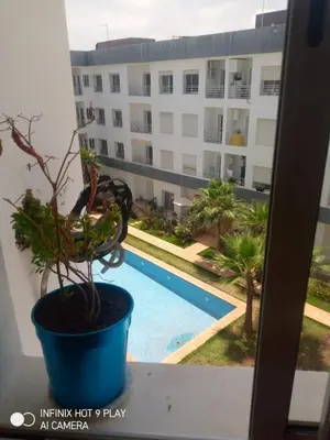 a plant on a window sill with a view of a building at residance a 100 m de la mer in El Harhoura