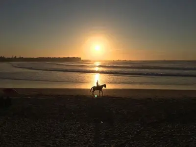 a person riding a horse on the beach at sunset at Appartement Cosy - Corniche plage Mohammedia in Mohammedia