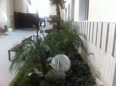 a courtyard with a bench and palm trees in a building at Appartement Cosy - Corniche plage Mohammedia in Mohammedia