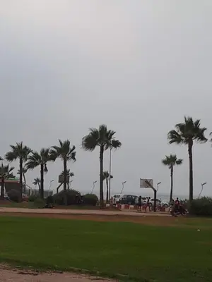a park with palm trees and a basketball hoop at Dream House Sidi Rahal Beach in Sidi Rahal
