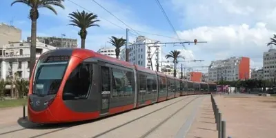 a red and black train on a street with palm trees at le spatieux in Casablanca