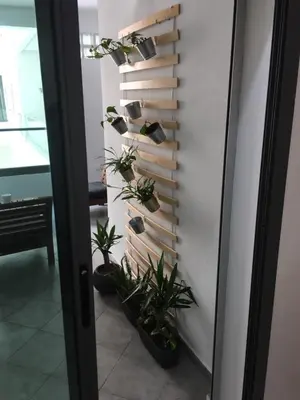 a room with potted plants on a wall at Appartement Miramar in Mohammedia