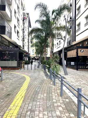 a cobblestone street in a city with palm trees and buildings at Best in Town - Central -Comfortable-in Racine in Casablanca