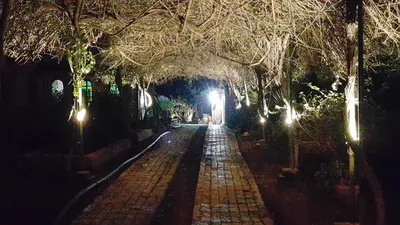 a cobblestone street at night with street lights at Palmeraie skhirat1 in Skhirat