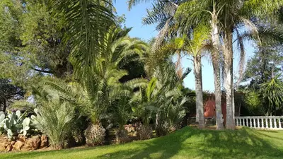 a yard with palm trees and a white fence at Palmeraie skhirat1 in Skhirat