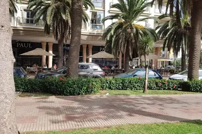 a building with palm trees in front of a street at Très bel appartement en face du parc, près du Novotel in Mohammedia