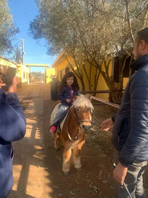 a young girl is riding a brown horse at Equi Palace & SPA Near Aeroport in Berrechid