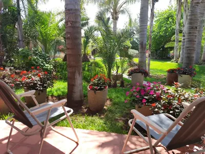 two chairs and flowers in a yard with palm trees at Palmeraie skhirat 2 in Skhirat