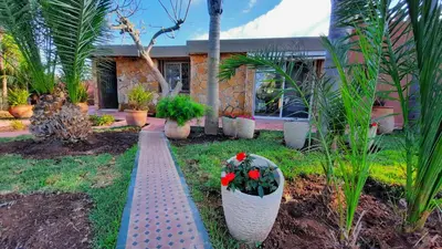 a garden with plants and a walkway in front of a house at Palmeraie skhirat 2 in Skhirat